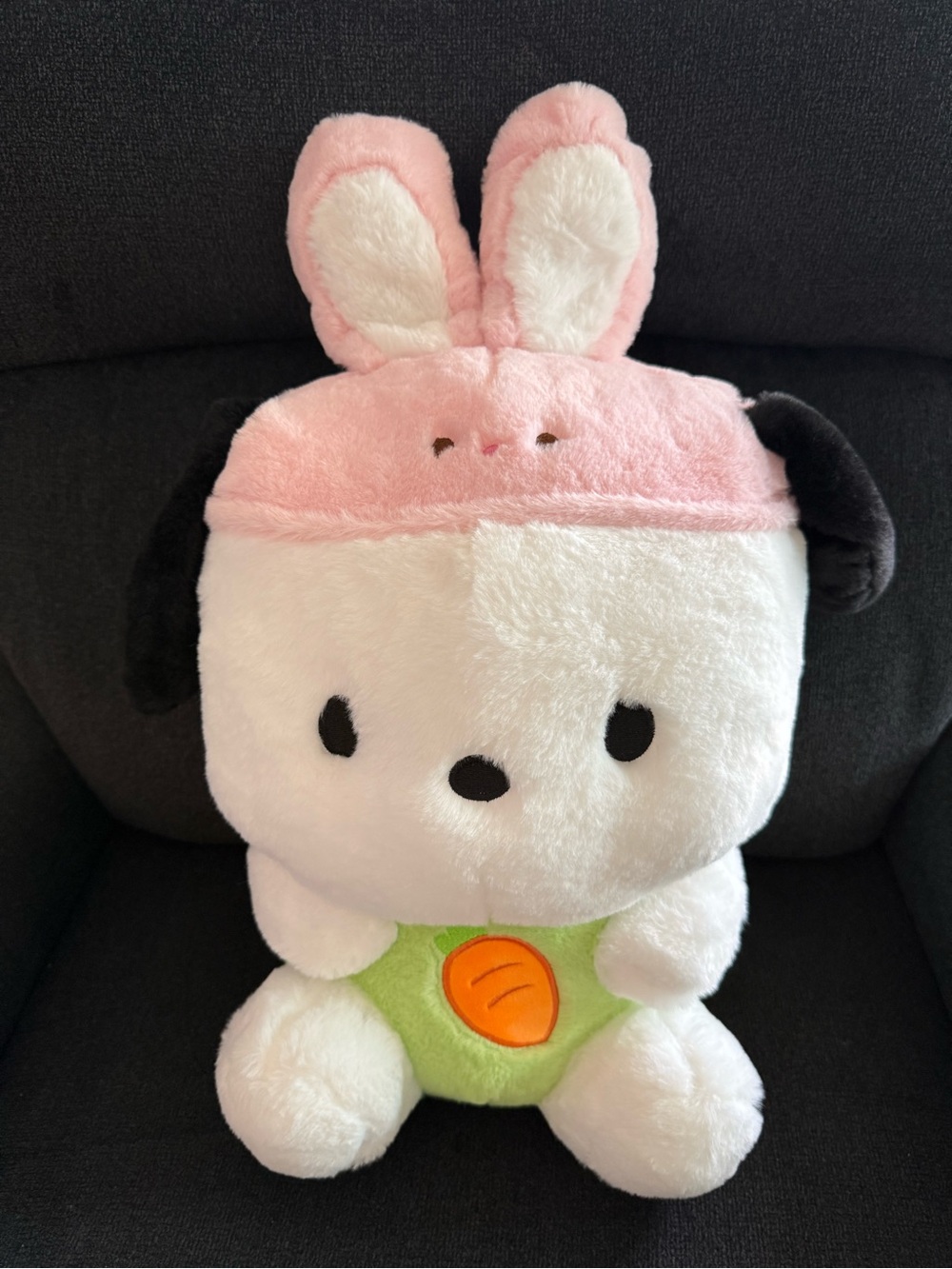 Pochacco Plush